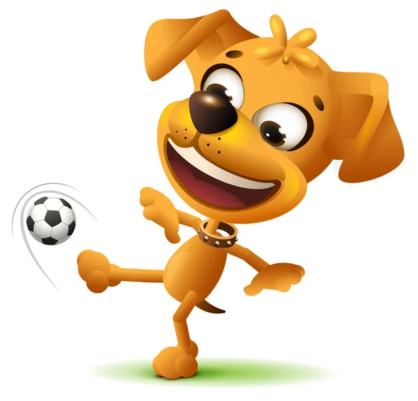 Amarillo divertido perro jugador de fútbol patea pelota de fútbol — Vector de stock