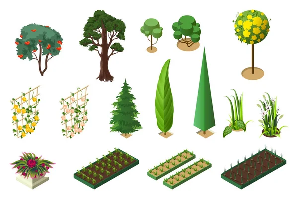 Set isométrico de plantas para jardín. Árboles, macizos de flores y lechos vegetales — Archivo Imágenes Vectoriales