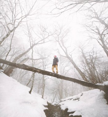 Ağaçta duran Gezgin.