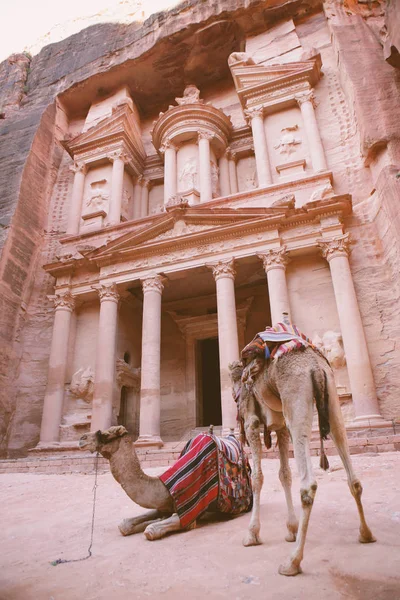 Petra - ciudad antigua . — Foto de Stock