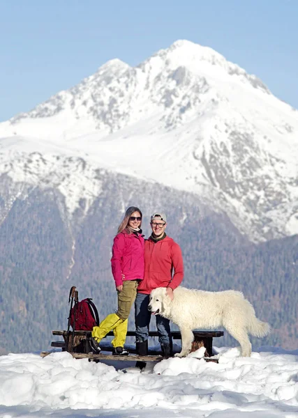 Glückliches Paar mit Maremma Schäferhund lizenzfreie Stockfotos