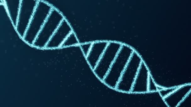 Animation bouclable de la chaîne ADN. Rotation sans couture .