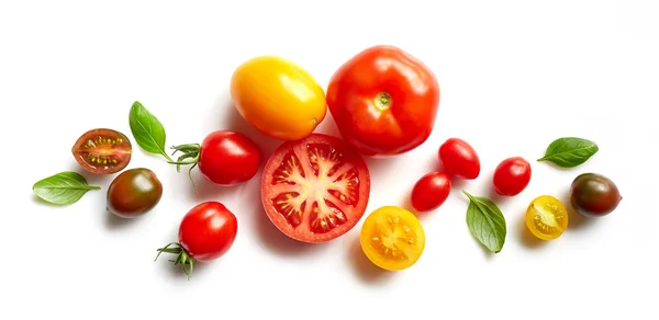 Çeşitli renkli domates — Stok fotoğraf