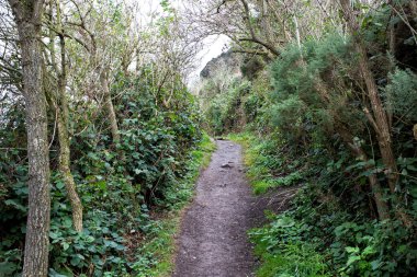 yol yokuş yukarı, Holyrood park, Edinburgh