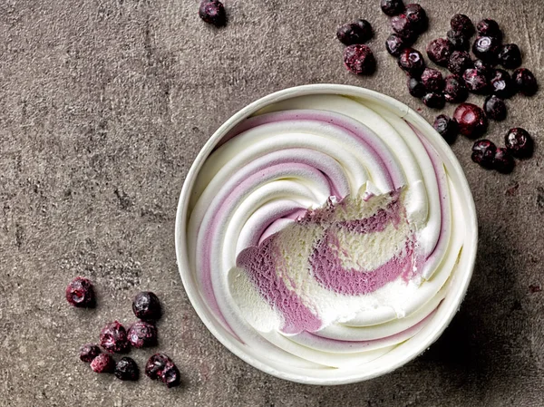Vanilla and blueberry ice cream — Stock Photo, Image