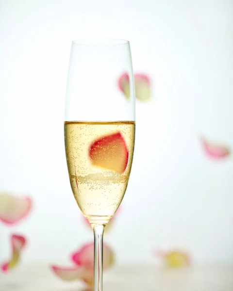 Glass of champagne and falling rose petals — Stock Photo, Image