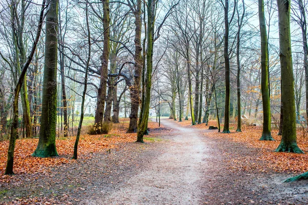 Hirschpark, Hamburg, Germany — стокове фото