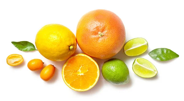Různé citrusové plody na bílém pozadí — Stock fotografie