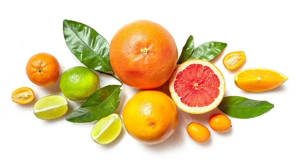 Olika citrusfrukter på vit bakgrund — Stockfoto