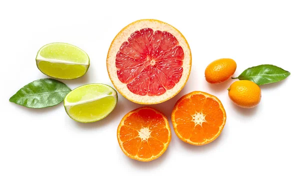 Diverse citrus vruchten op witte achtergrond — Stockfoto