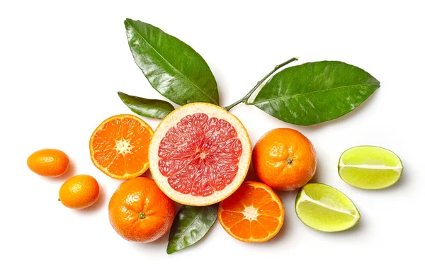 Olika citrusfrukter — Stockfoto