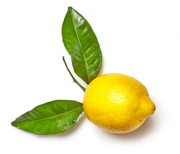 白色背景的新鲜柠檬 — 图库照片