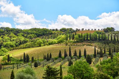Tuscany manzara, Toscana, Italy