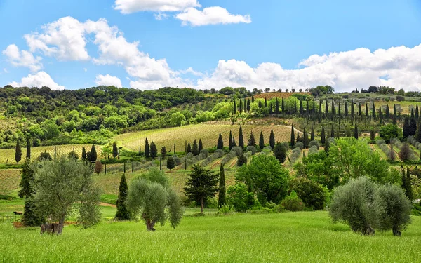 Paisagem toscana, Toscana, Itália — Fotografia de Stock