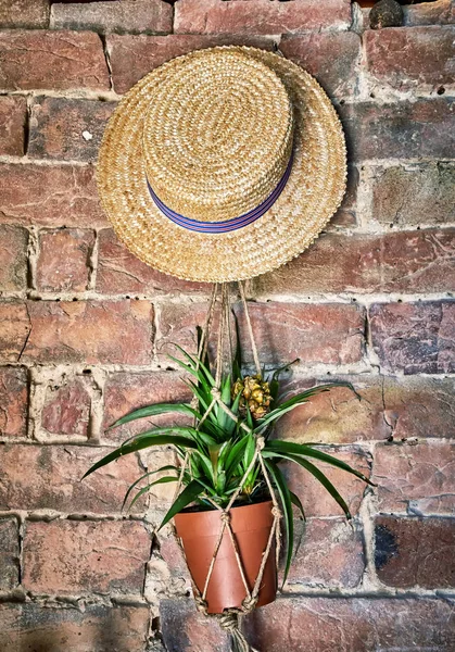 Wall decoration, Pienza, Italy — Stock Photo, Image