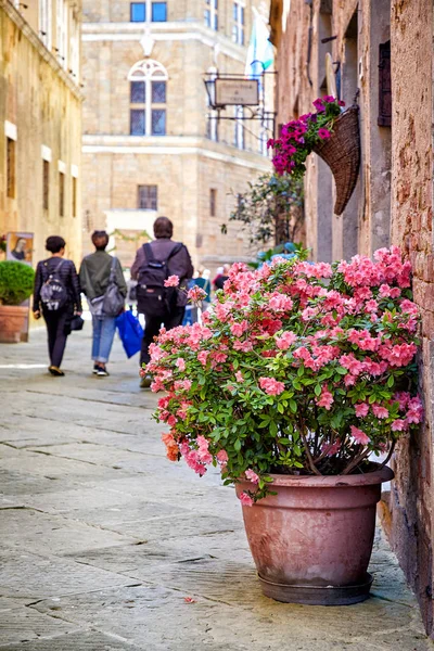 Výhledem do ulice města Pienza, Itálie — Stock fotografie