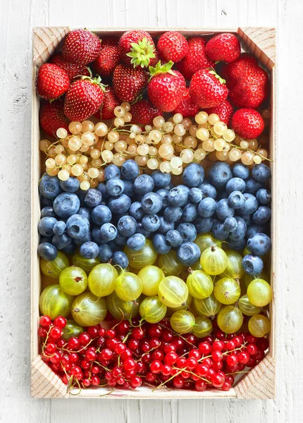 Коробка различных ягод — стоковое фото