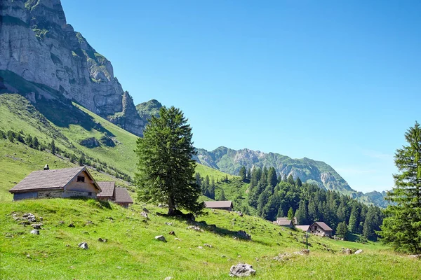 Швейцарские Альпы — стоковое фото