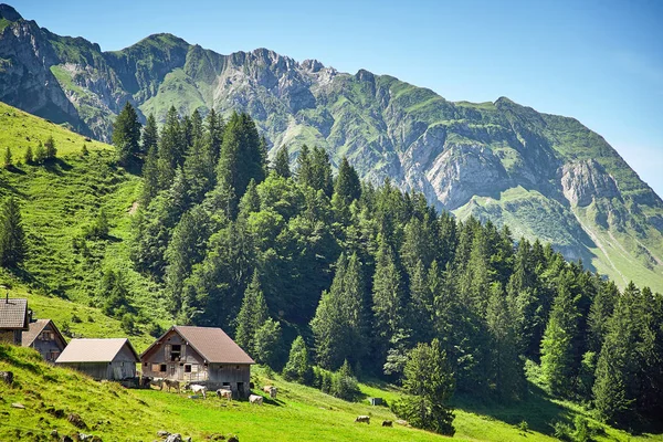 İsviçre Alpleri peyzaj — Stok fotoğraf