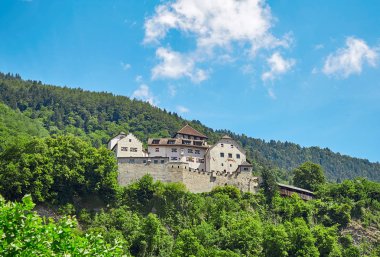 Vaduz Castle, Lichtenstein clipart