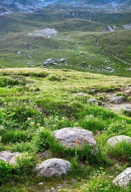 İsviçre Alpleri peyzaj