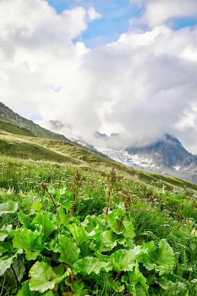 Szwajcarskie Alpy krajobraz — Zdjęcie stockowe