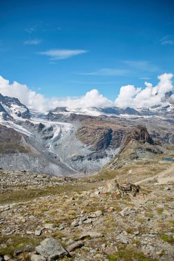 Gornergrat Zermatt, İsviçre, İsviçre Alpleri