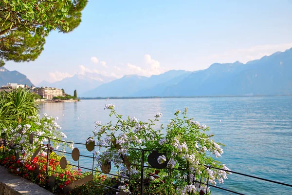 Geneva lake, Switzerland — Stock Photo, Image