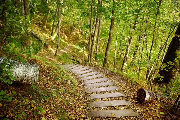 Escalier dans un parc de montagne — Photo