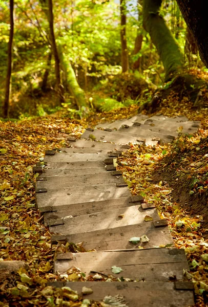 Escalier dans un parc de montagne — Photo