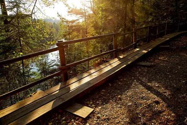 Chemin en bois dans le parc de montagne — Photo