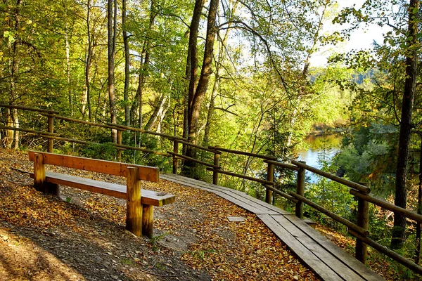 Деревянная скамейка в горном парке — стоковое фото