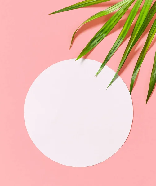 Tropical leaves on pink background — Stock Photo, Image