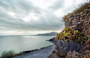 Volkanik Lanzarote Adası'Atlas Okyanusu'nun sahil şeridi