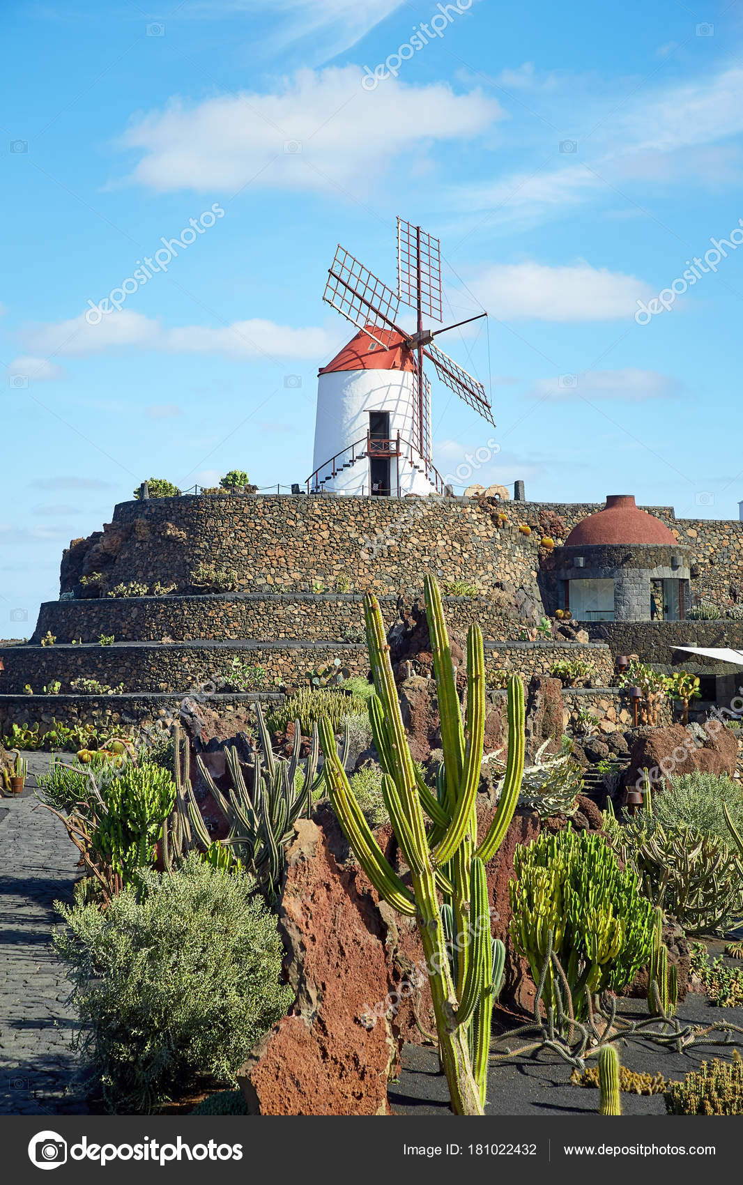 cactus garden jardin de cactus and windmill in lanzarote canary islands spain photo by magone - Jardin De Cactus cactus garden jardin de cactus and windmill in lanzarote canary islands spain photo by magone - Jardin De Cactus