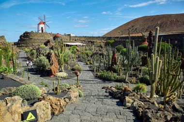 Kaktüs Bahçe Jardin de kaktüs Lanzarote Adası