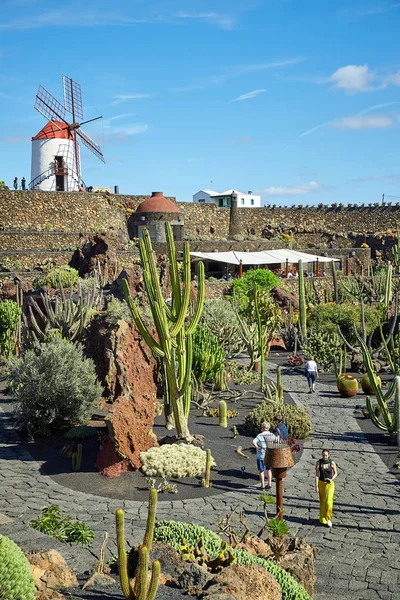Jardin de cactus Jardin de cactus à Lanzarote — Photo