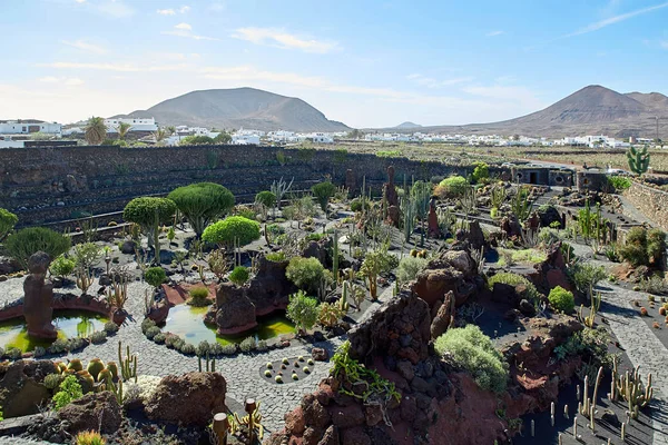 Κάκτος Κήπος Jardin de Cactus στο νησί Lanzarote — Φωτογραφία Αρχείου