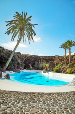 Jameos del Agua pool in Lanzarote
