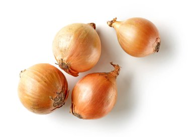fresh raw onions clipart
