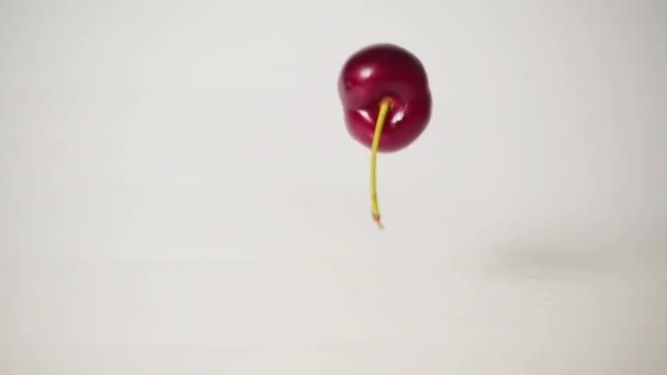 Cherry falls på bordet, Slowmotion — Stockvideo