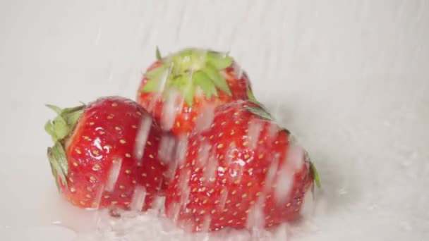 Salpicadura de fresa y agua, cámara lenta — Vídeos de Stock