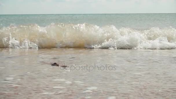 Surfe em um litoral arenoso, câmera lenta — Vídeo de Stock