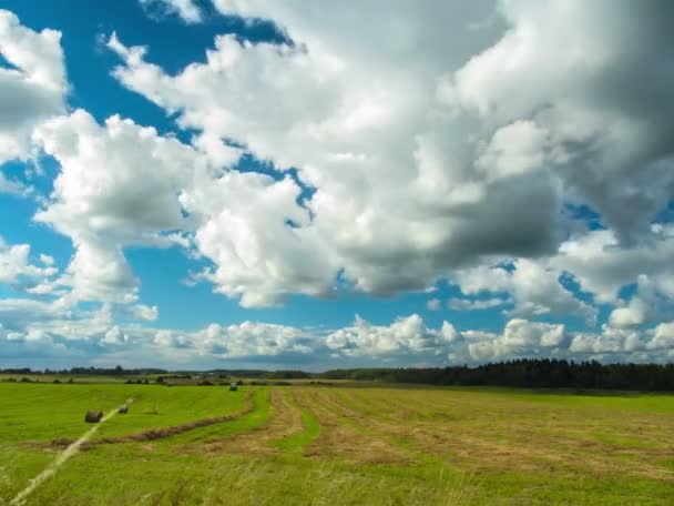 Prac rolnych, krajobraz, 4k, time-lapse — Wideo stockowe