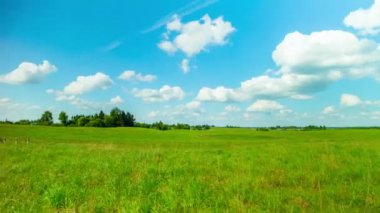 Yaz manzara, panoramik 4k hızlandırılmış