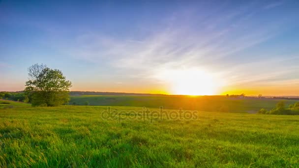 Літній пейзаж із заходом сонця, 4K панорамний часовий проміжок — стокове відео