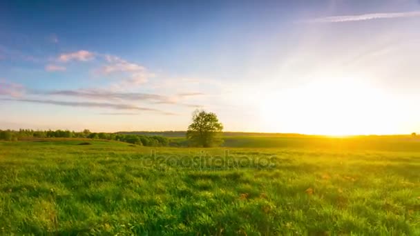 Zomer landschap met een zonsondergang, 4k panoramisch time-lapse — Stockvideo