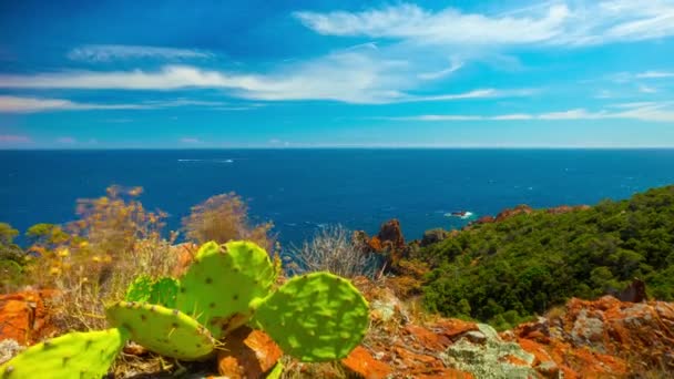 Morze Śródziemne i kaktus, 4k time-lapse z dźwigiem — Wideo stockowe