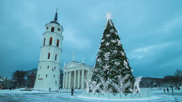 Árbol de Navidad en la Plaza de la Catedral de Vilna, Lituania, lapso de tiempo de 4K — Vídeos de Stock