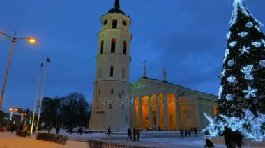 Vilnius, Litvanya 28 Aralık 2014 katedral meydanında Noel ağacı.